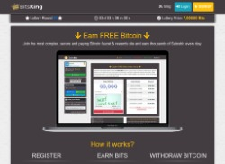 bitsking.co
